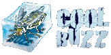 Coolbuzz
